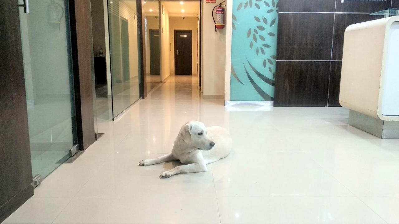 Sai Srushti By Neem Square Hotel Shirdi Eksteriør billede